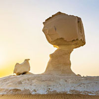 White-Desert- 11
